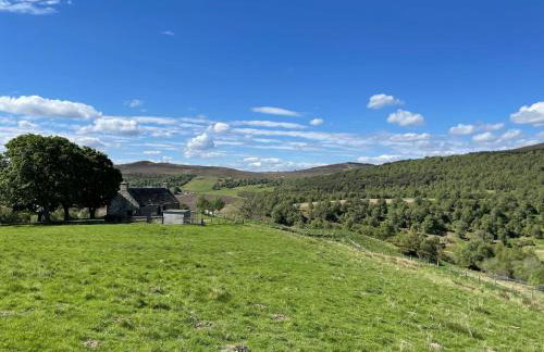 West Gorton - Foto 16