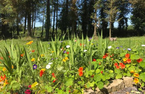 Pigeon Brae pet friendly accommodation Enniskillen - Foto 16