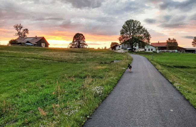 Les Grangettes - Photo 1