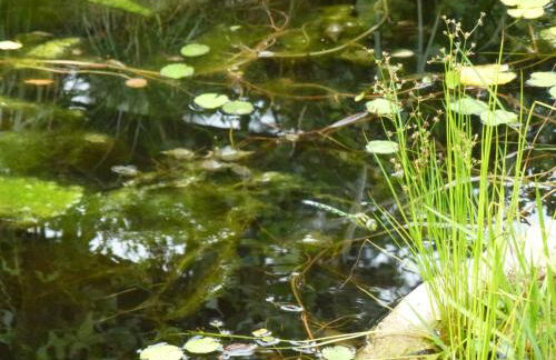 Villa-Hufeland - Foto 137