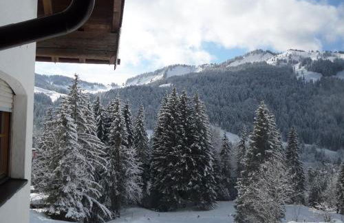 Alte Schmiede - Photo 6