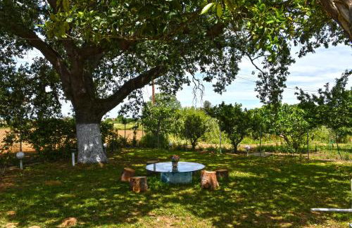 The Ranch of Ancient Ilida - Foto 41