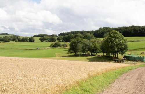 Ferienwohnung Roderath - Photo 24