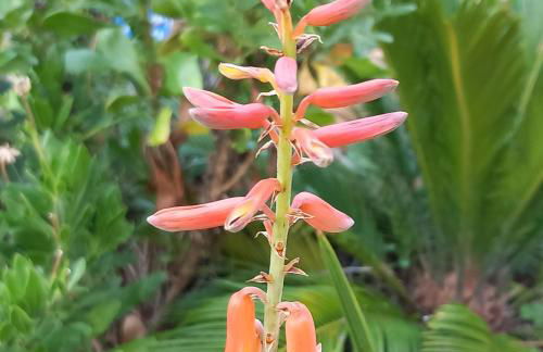 Chambre d hôte les heures claires - Foto 7