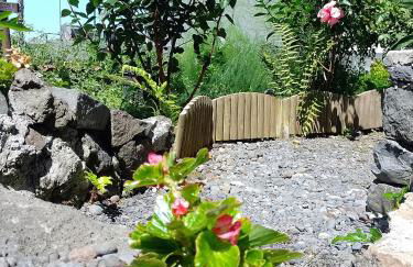 Lazy Lizard by the Ocean - Foto 74