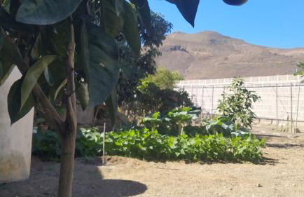 Edara Home - Vivienda completa - Photo 34