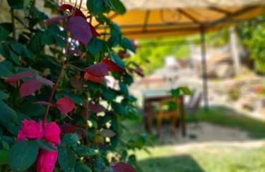 Casa in campagna nelle Langhe - Foto 10