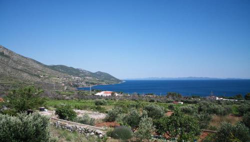 Apartman A&M - Photo 5