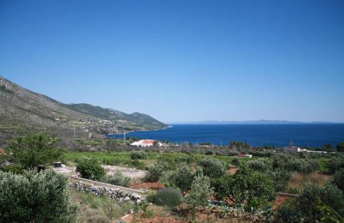 Apartman A&M - Photo 5