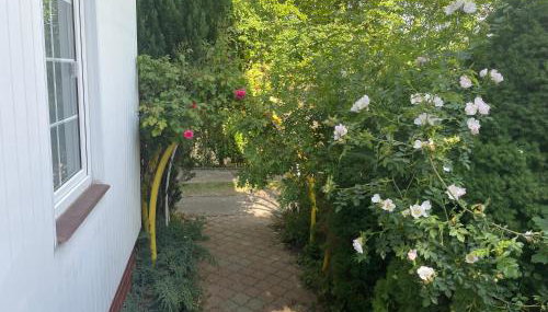 DOM MORSKA 7 - Foto 3, Garden view