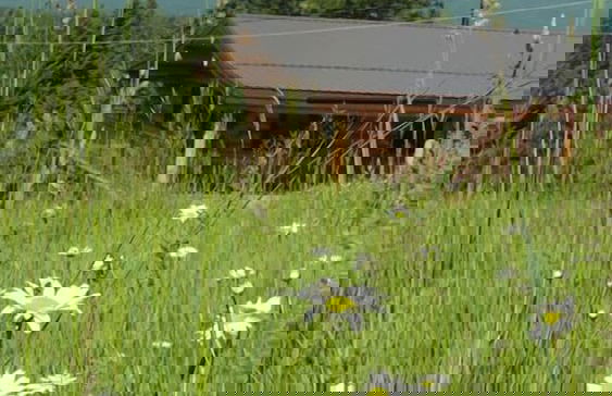 Beautiful Log Chalet Near Fernie, BC - Foto 33