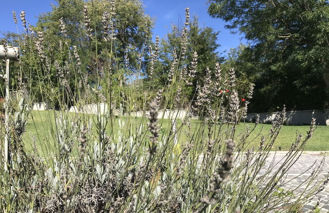 Oasi del Vetoio - Photo 26