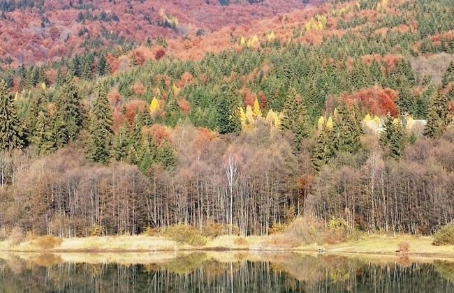 Ski-Lake Cottage Nízke Tatry - Foto 21