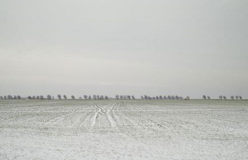 Lüttje Teihn - Foto 28