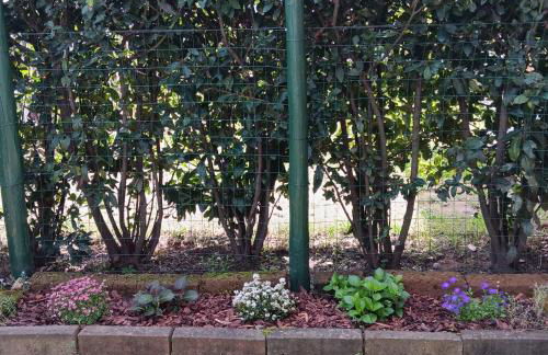 La casa al lago BMOR love&lake - Foto 53