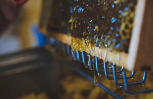 Agriturismo Bellofatto - Foto 39