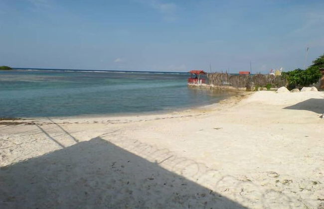 The Royal Kensington Villa - Photo 31