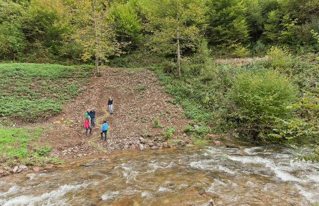 Pretty Apartment in Oppenau near Black Forest National Park - Foto 29