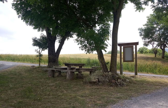 Charmantes Ferienhaus mit Naturgarten - Foto 22