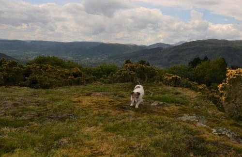 4 Bed in Llanrwst oc-66510 - Foto 28