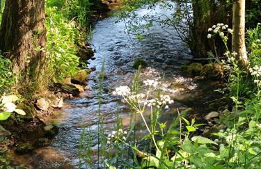 Ferienwohnung zum Märchenwald - Foto 44