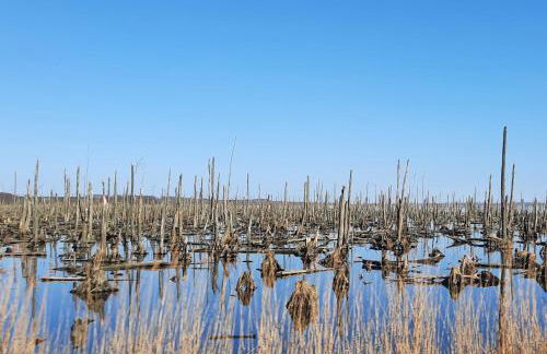 Haus Nemo - Appartement 5, Gemütliches Appartement - Strandkorb, strandnah 50 m - Foto 7