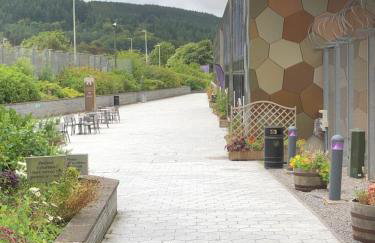 Herbert Place - Foto 62