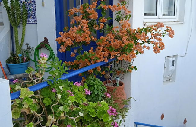 Alkistis Cozy By The Beach Apt In Ikaria Island, Therma 1st Floor - Foto 27