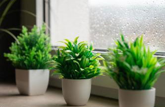 Wohnung am See - Foto 9