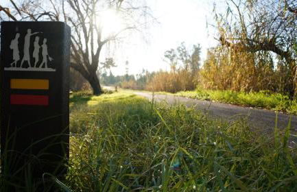 Forest Terrace Praia de Mira - Foto 49