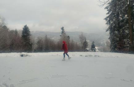 Apartament Buczyna - Foto 33