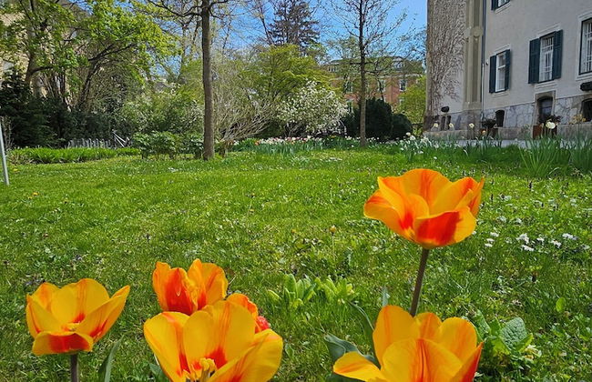 GrazRentals - Foto 75