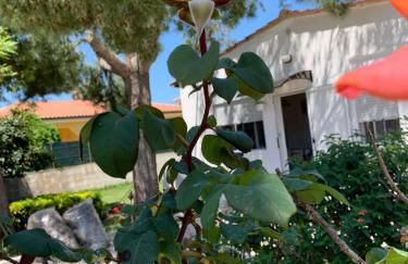 Villa Fiori giardino, 400 m. mare con parcheggio - Foto 2