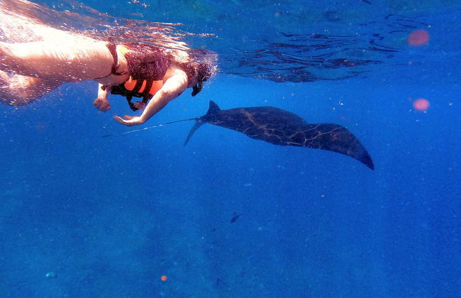 Nusa Lembongan Snorkeling - Photo 3