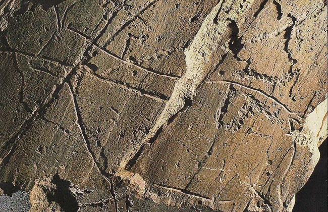 Cave Painting Hike in the Côa Valley - Foto 4