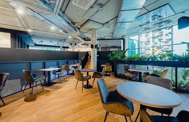 Apartamenty Collegia - Foto 22