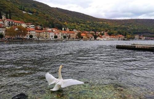 Studio-apartman Dejan - Photo 6