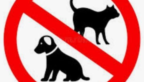 Agriturismo Masseria Cannella - Foto 3