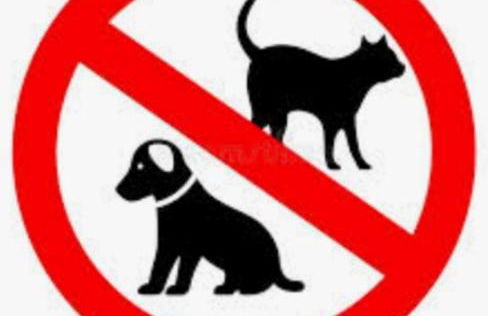 Agriturismo Masseria Cannella - Foto 3