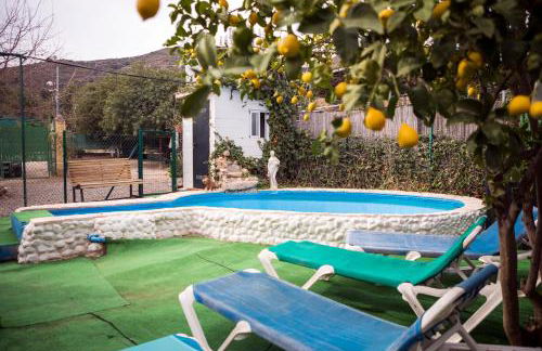 Almotaje, numero 3 - Foto 23