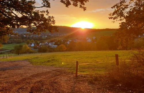 Andinas Ferienwohnung in ruhiger Lage direkt am Wald - Foto 13