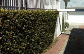 Norte Hospedagem - Photo 14