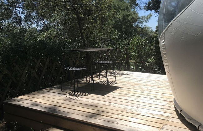 Domaine de la Tuilière - Foto 29