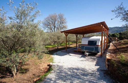 Onar Camper - Photo 18