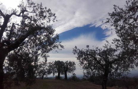 Tramonti E Valli - Foto 27