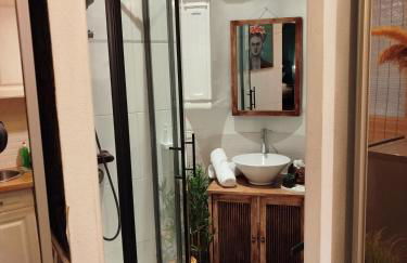 Nancy Vieille Ville Stanislas - Foto 77