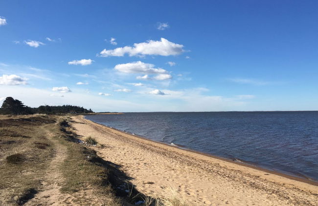 "Elevine" - 300m to the fjord - Foto 5