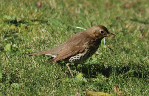 Acquavilla - Foto 71