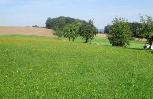 Ferienwohnungen Blumenschein - Foto 6