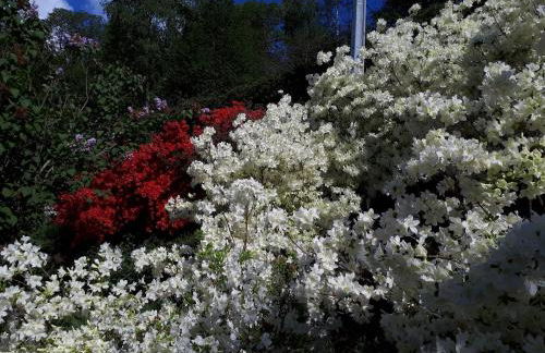 Agriturismo l'Arbo - Foto 26